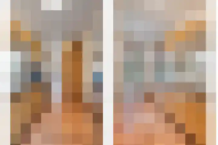 Dennenpad 10 Klundert thumbnail 11