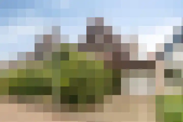 Dennenpad 10 Klundert foto 2