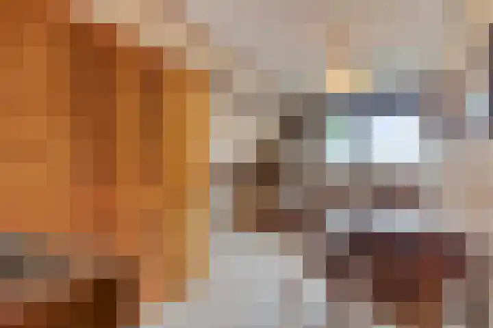 Dennenpad 10 Klundert thumbnail 26