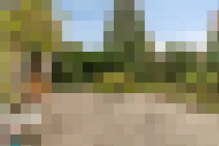 Dennenpad 10 Klundert thumbnail 29