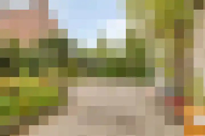 Dennenpad 10 Klundert thumbnail 30