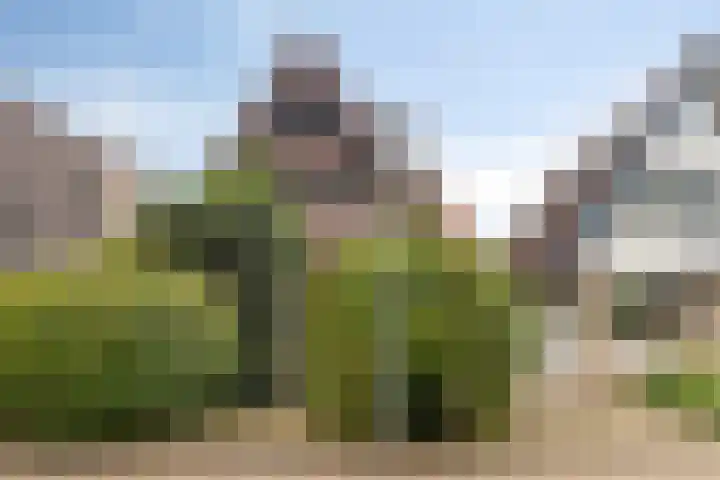 Dennenpad 10 Klundert thumbnail 32