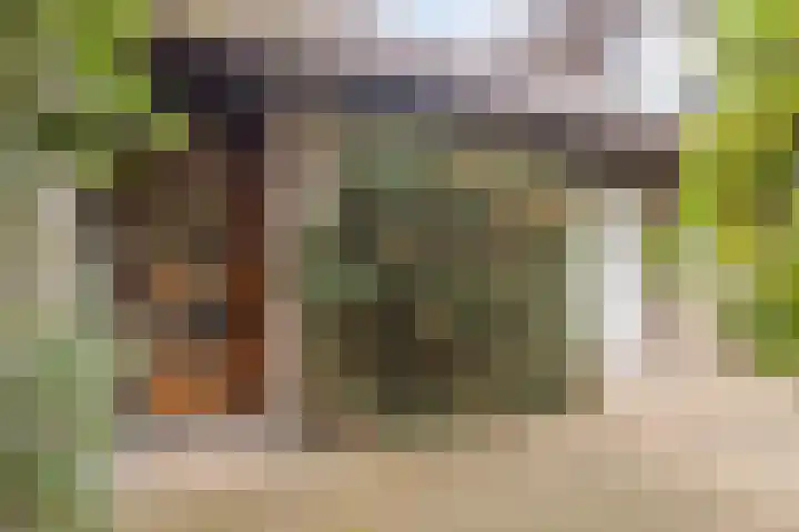 Dennenpad 10 Klundert thumbnail 7