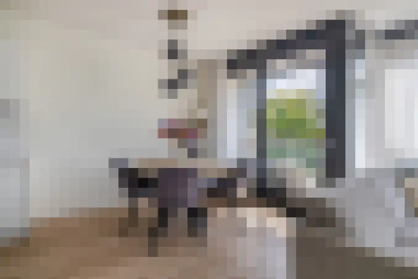 Dennenpad 34 's-Gravenzande thumbnail 12