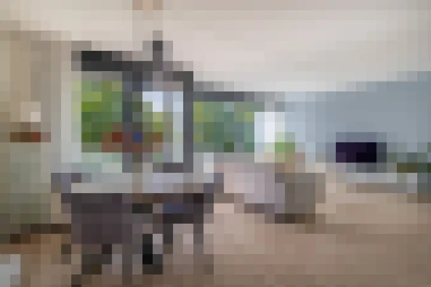 Dennenpad 34 's-Gravenzande thumbnail 13