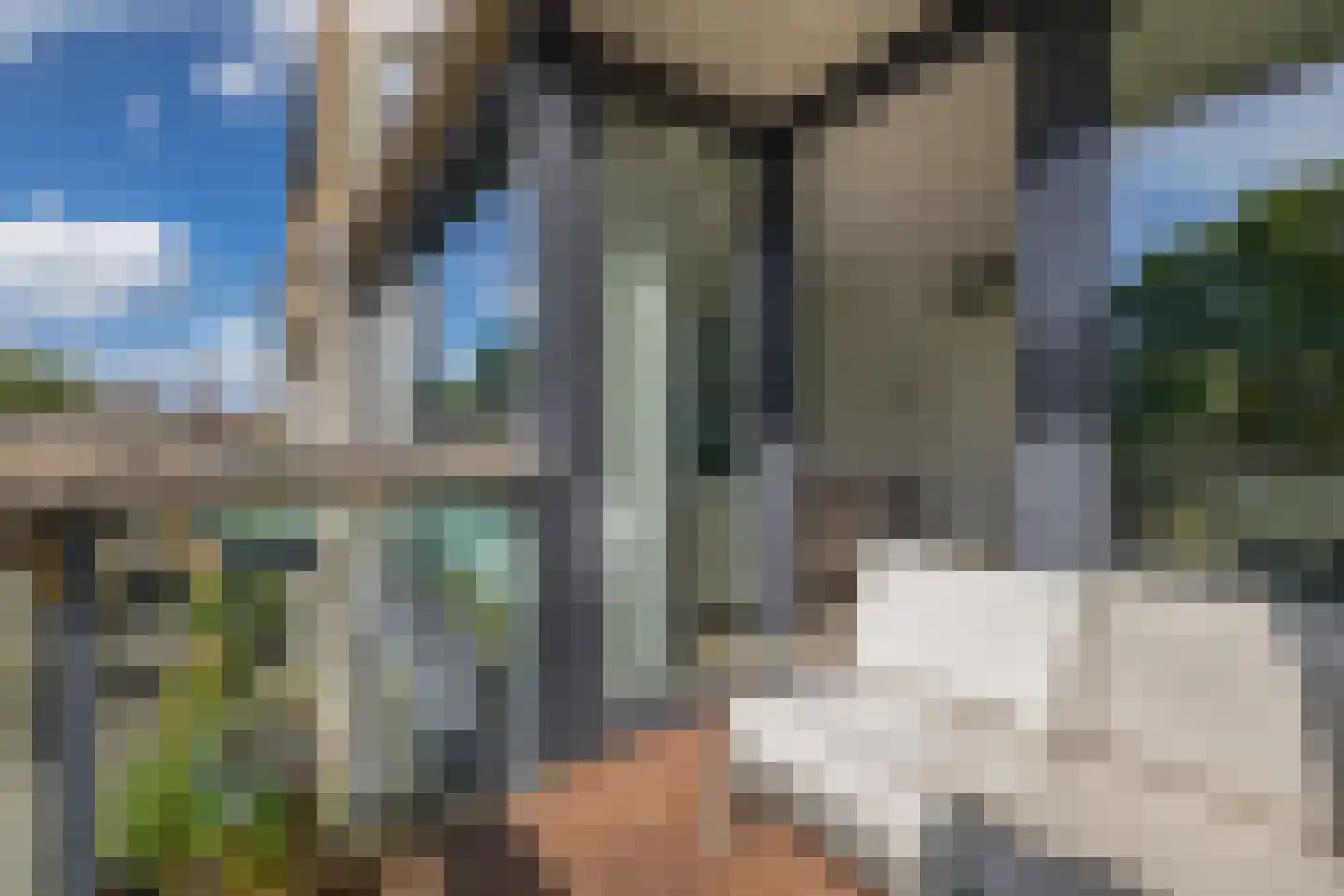 Dennenpad 34 's-Gravenzande thumbnail 14