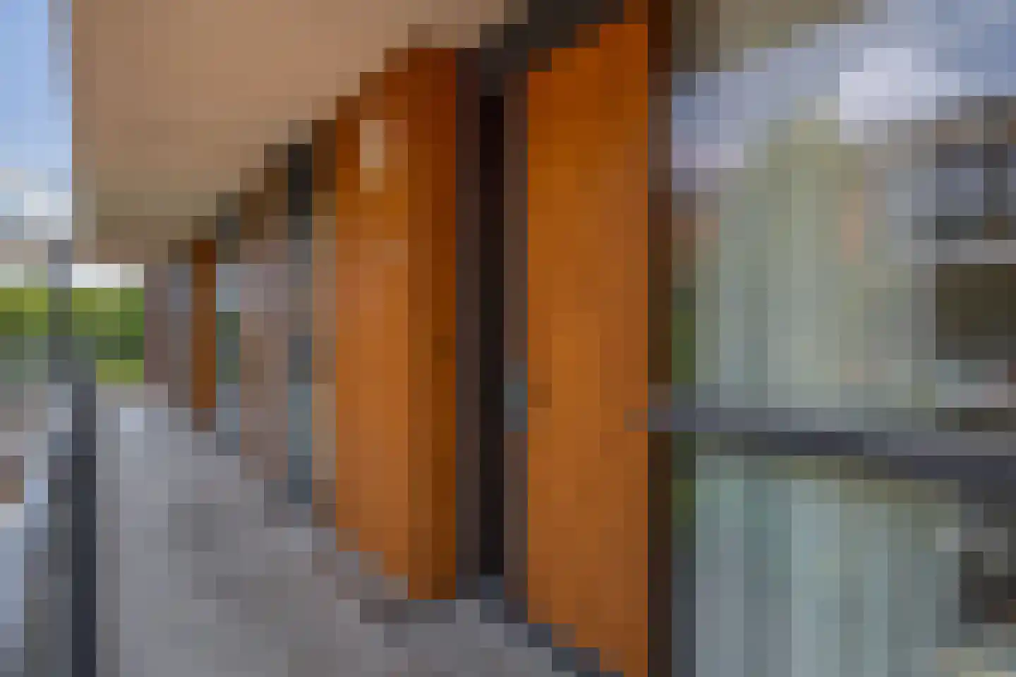 Dennenpad 34 's-Gravenzande thumbnail 23