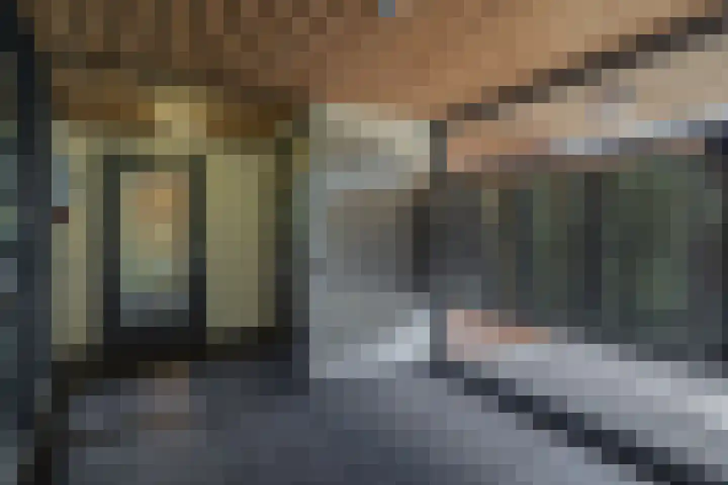 Dennenpad 34 's-Gravenzande thumbnail 26