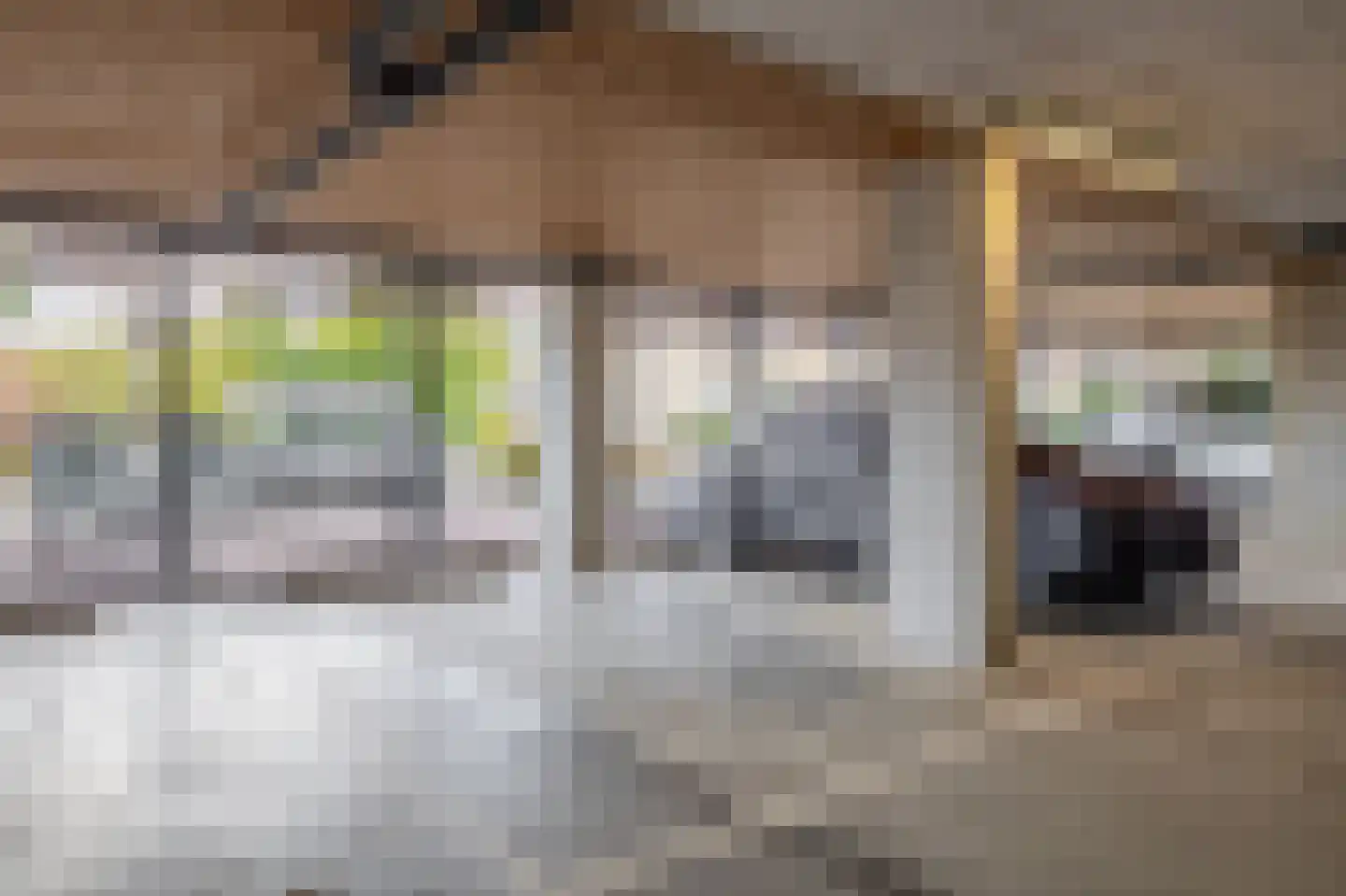 Dennenpad 34 's-Gravenzande thumbnail 27