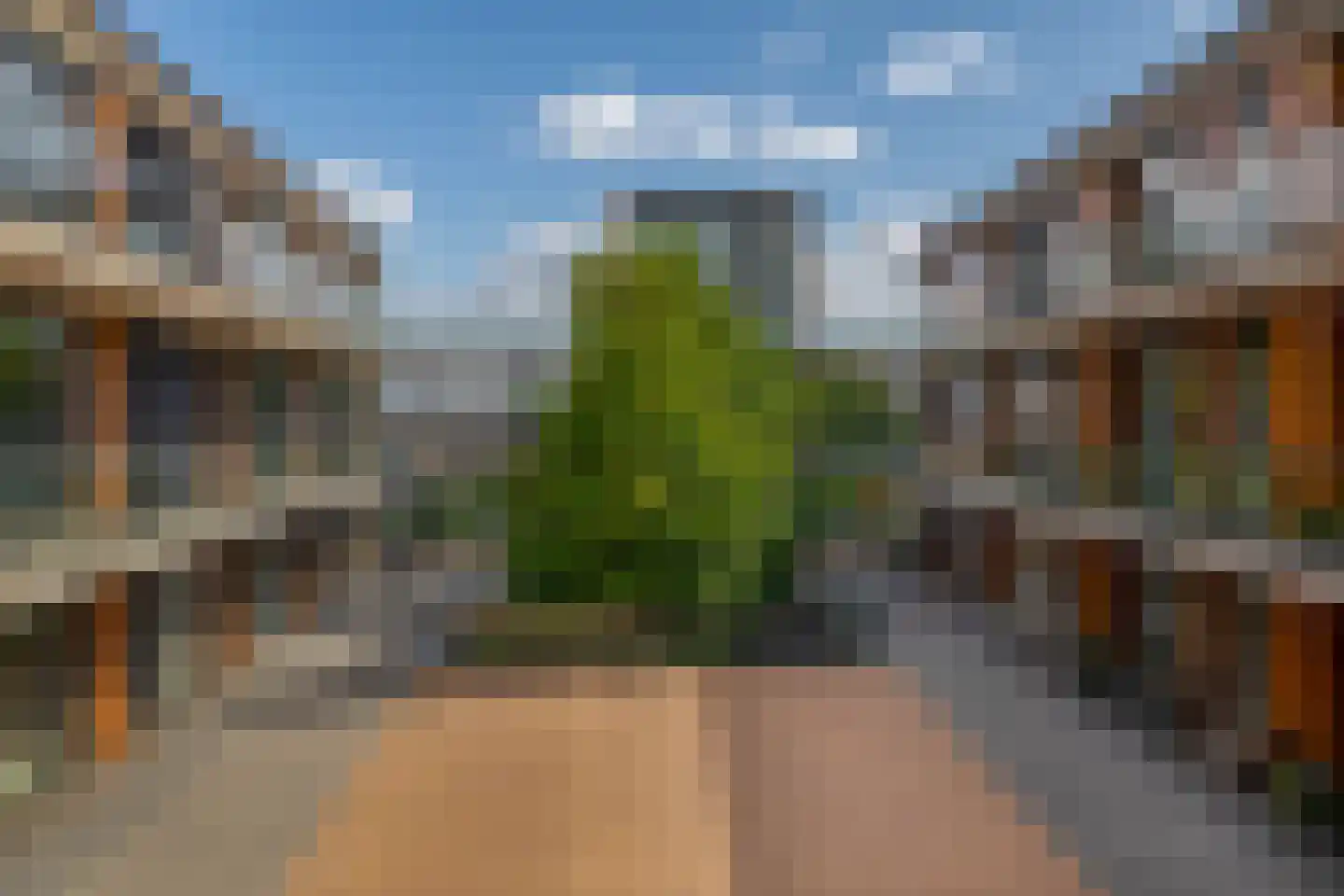 Dennenpad 34 's-Gravenzande thumbnail 29