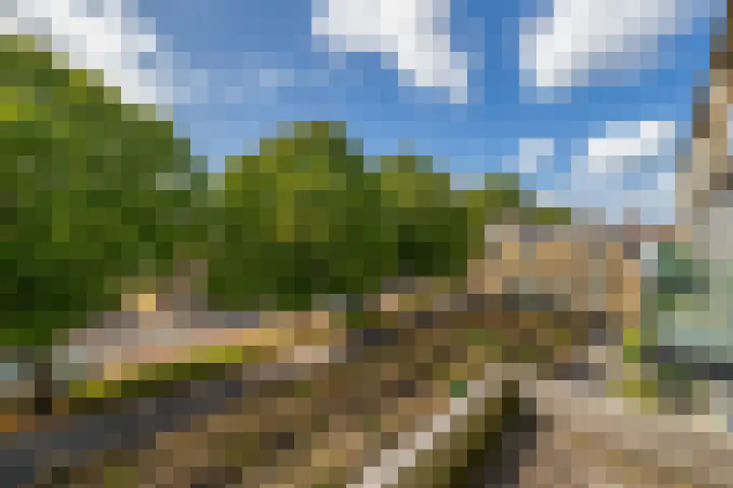 Dennenpad 34 's-Gravenzande thumbnail 31