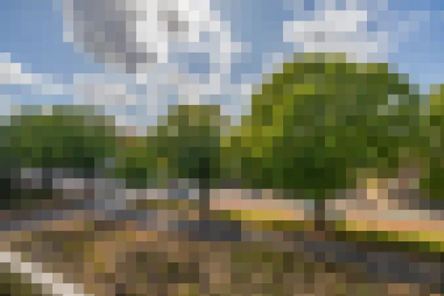 Dennenpad 34 's-Gravenzande thumbnail 32