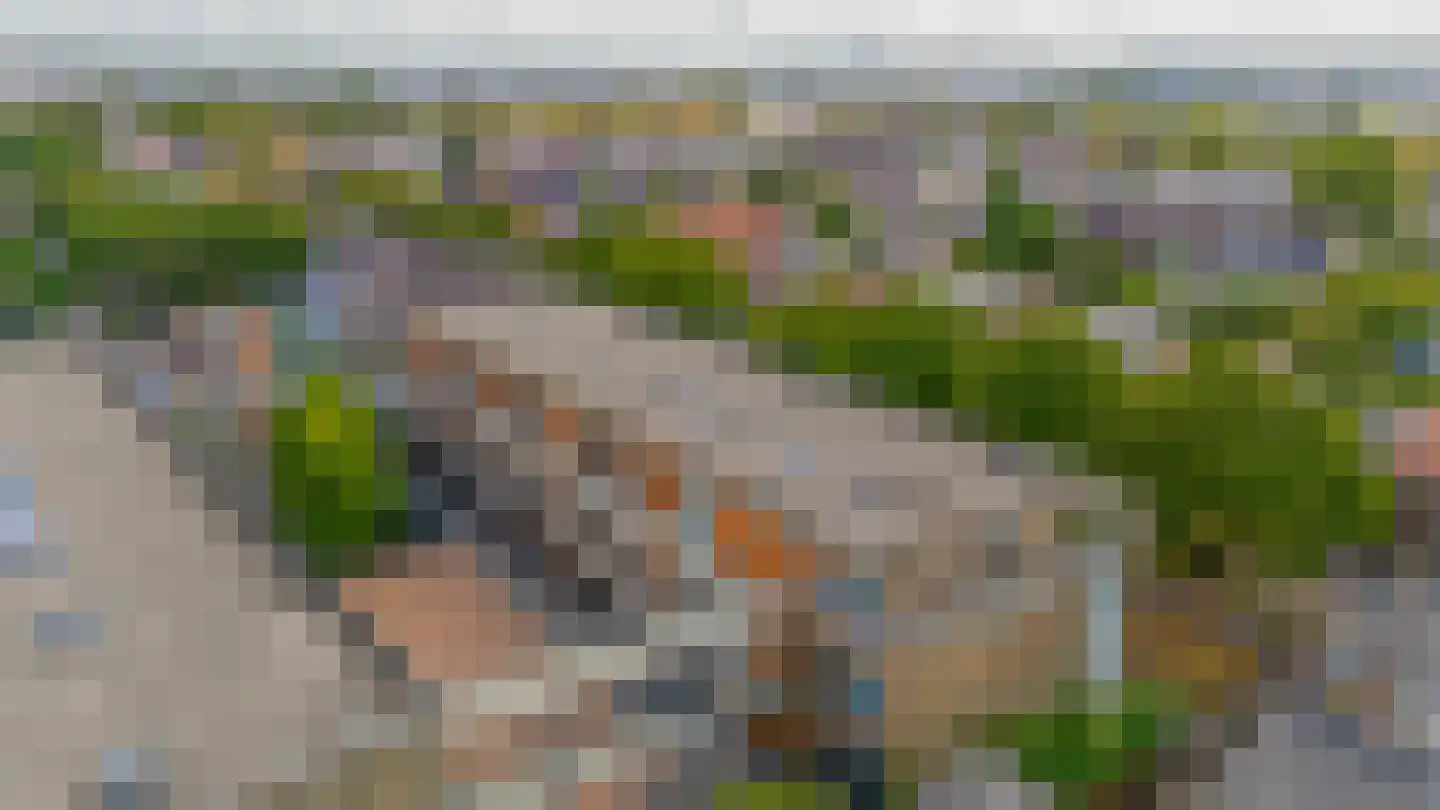 Dennenpad 34 's-Gravenzande thumbnail 37