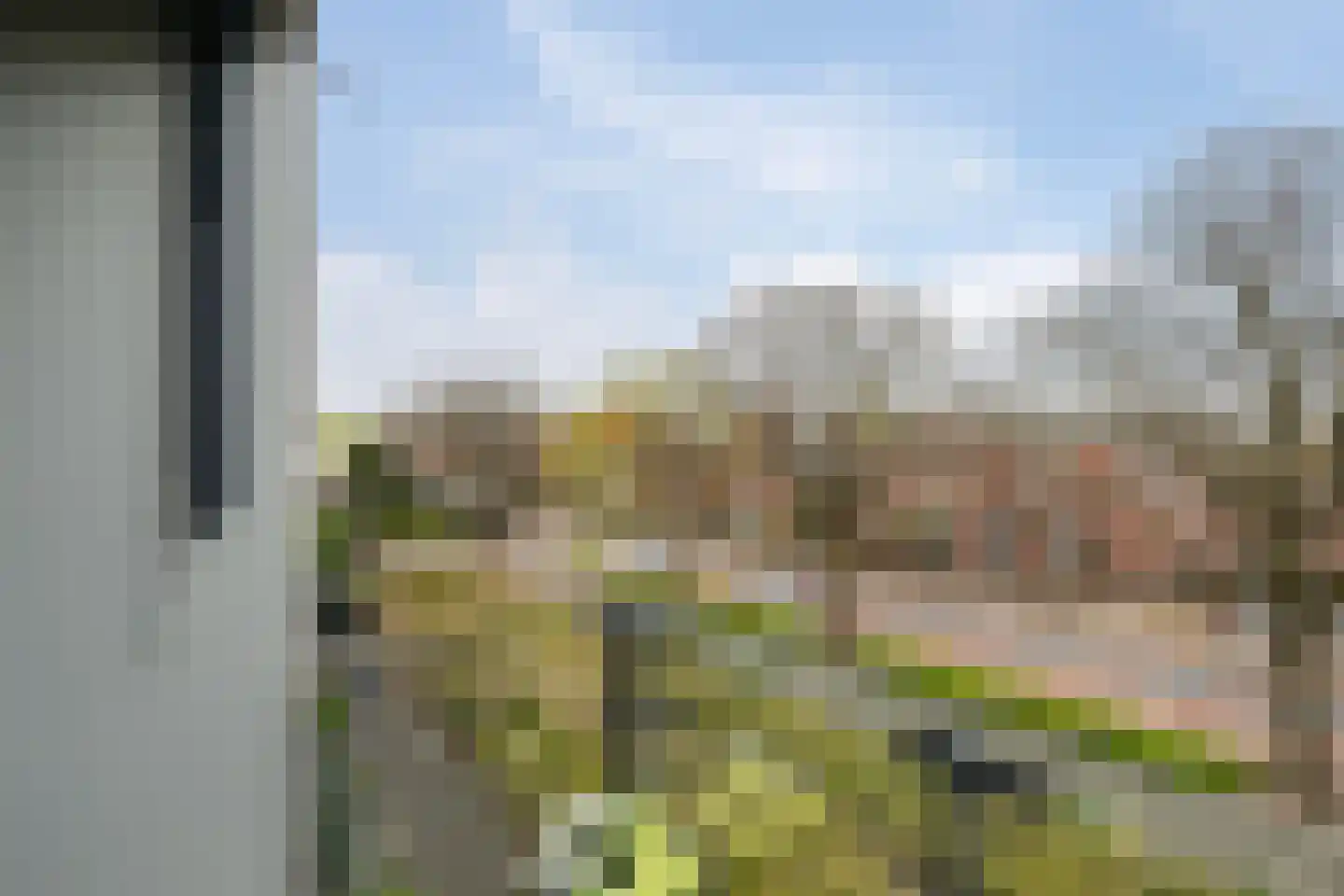 Dennenpad 38 's-Gravenzande thumbnail 14