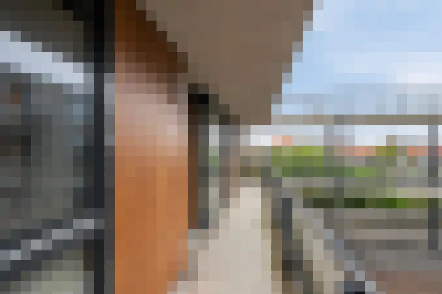 Dennenpad 38 's-Gravenzande thumbnail 27