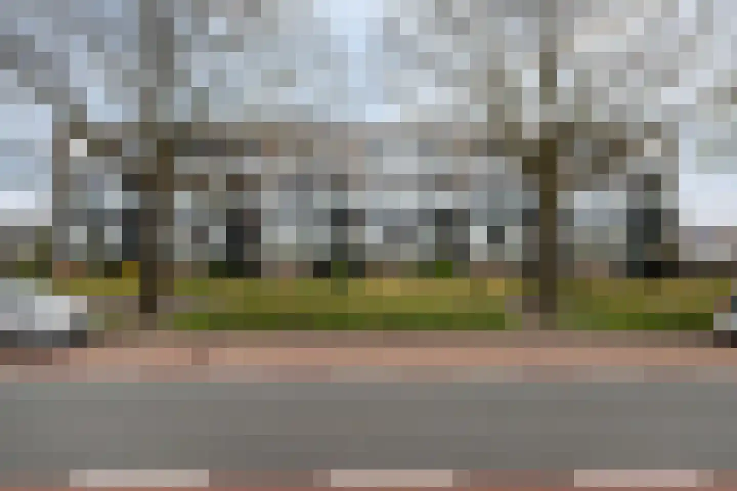 Dennenpad 38 's-Gravenzande thumbnail 29