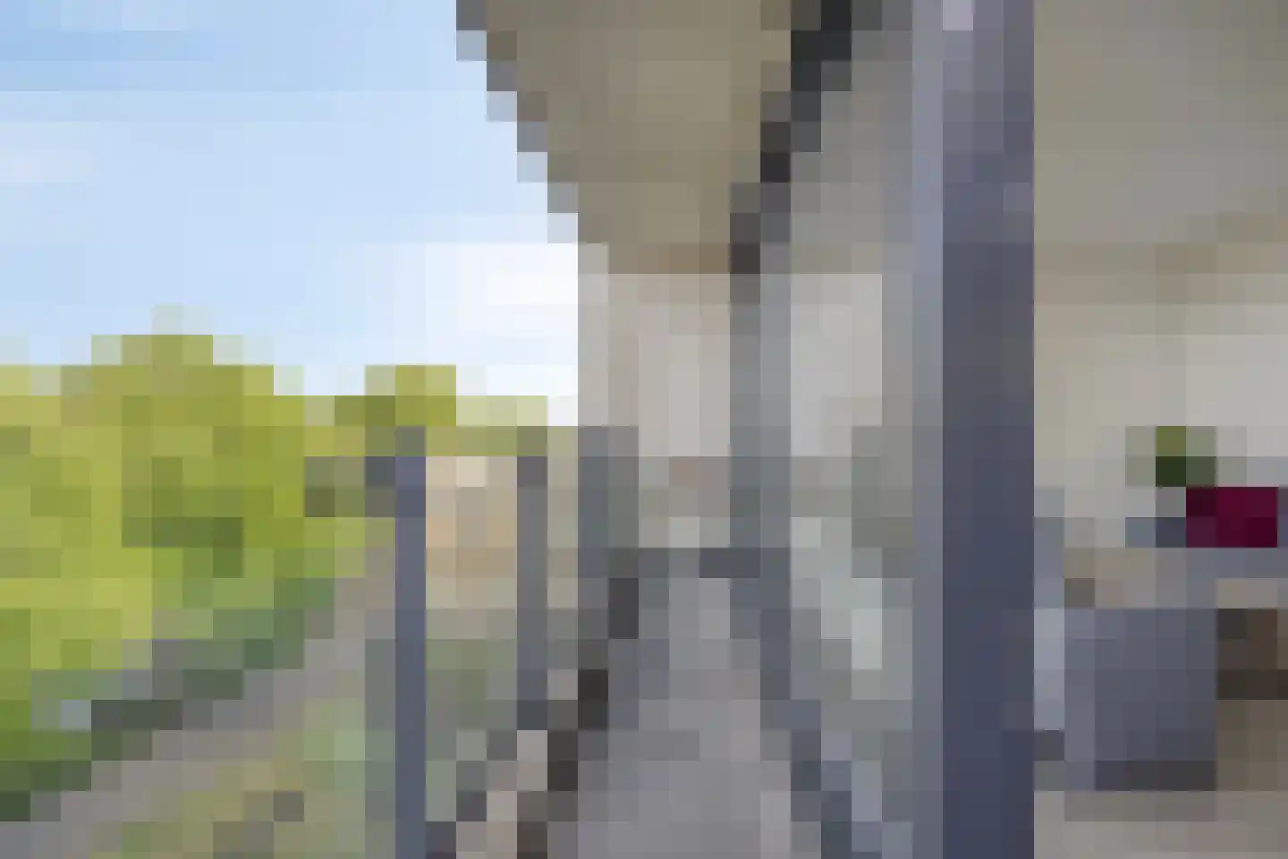 Dennenpad 62 's-Gravenzande thumbnail 10