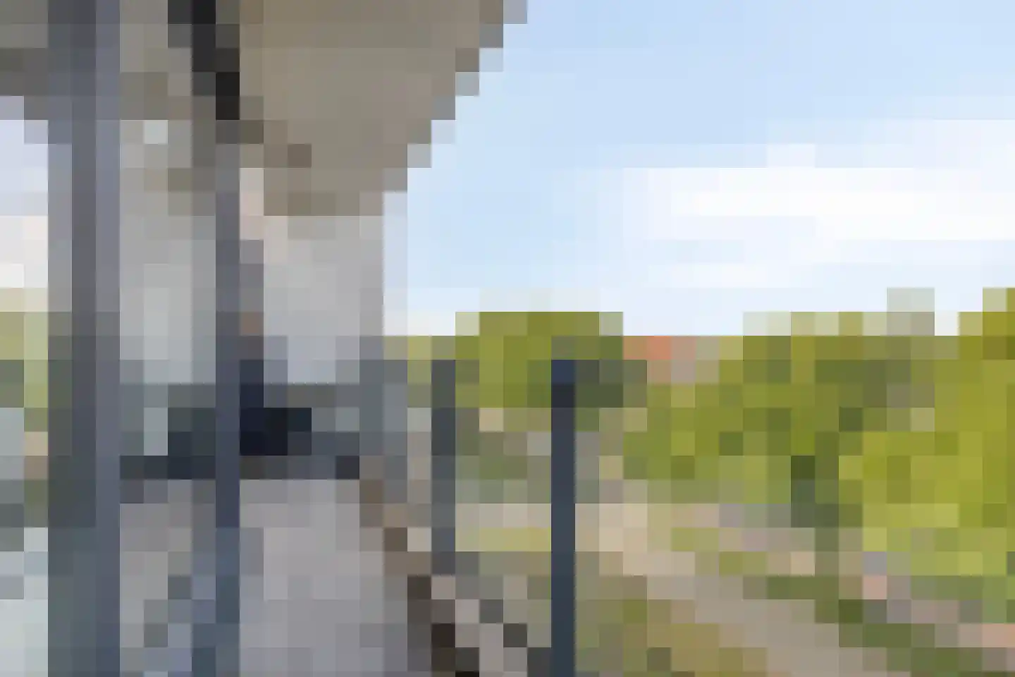 Dennenpad 62 's-Gravenzande thumbnail 11