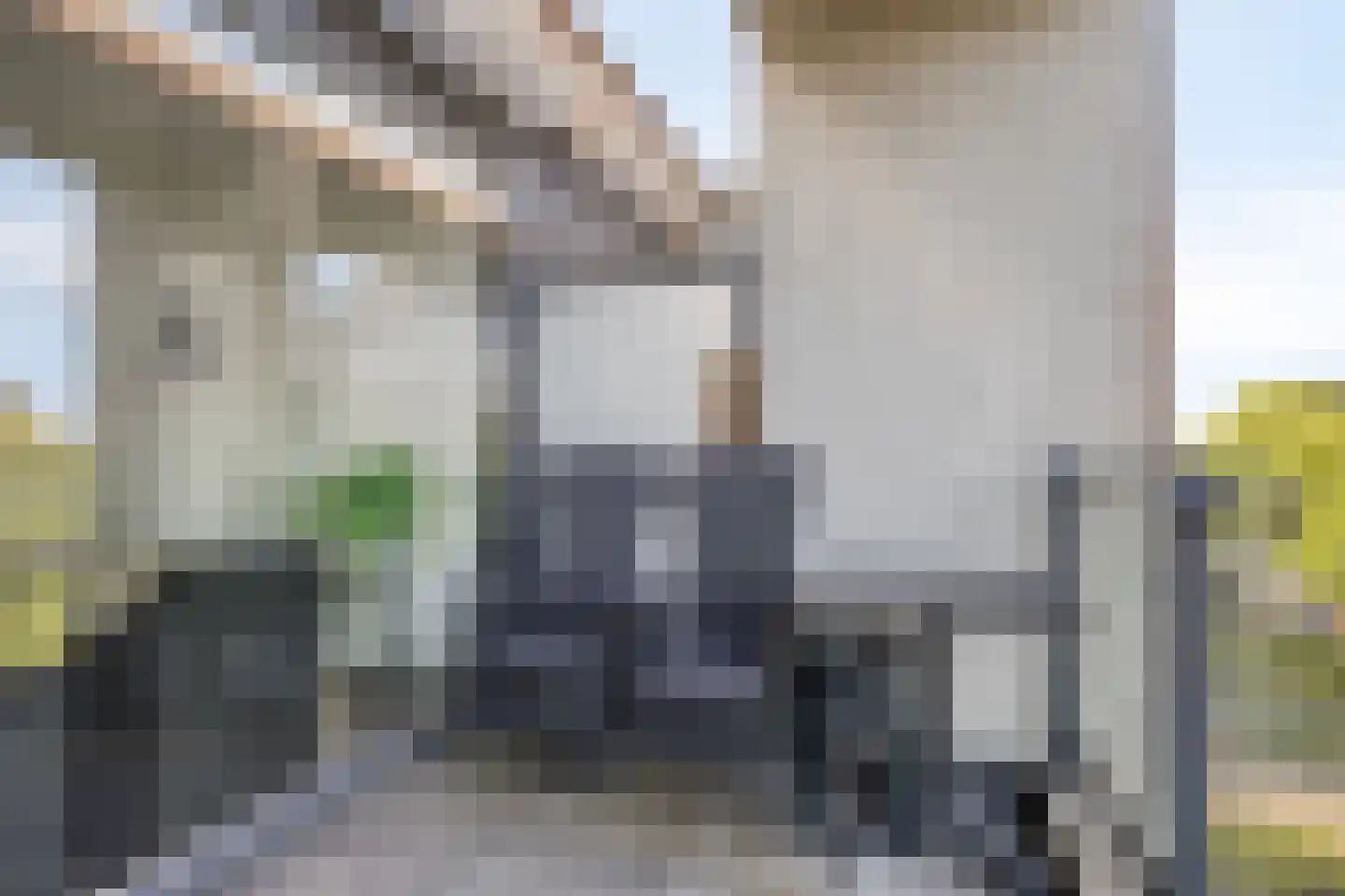 Dennenpad 62 's-Gravenzande thumbnail 12