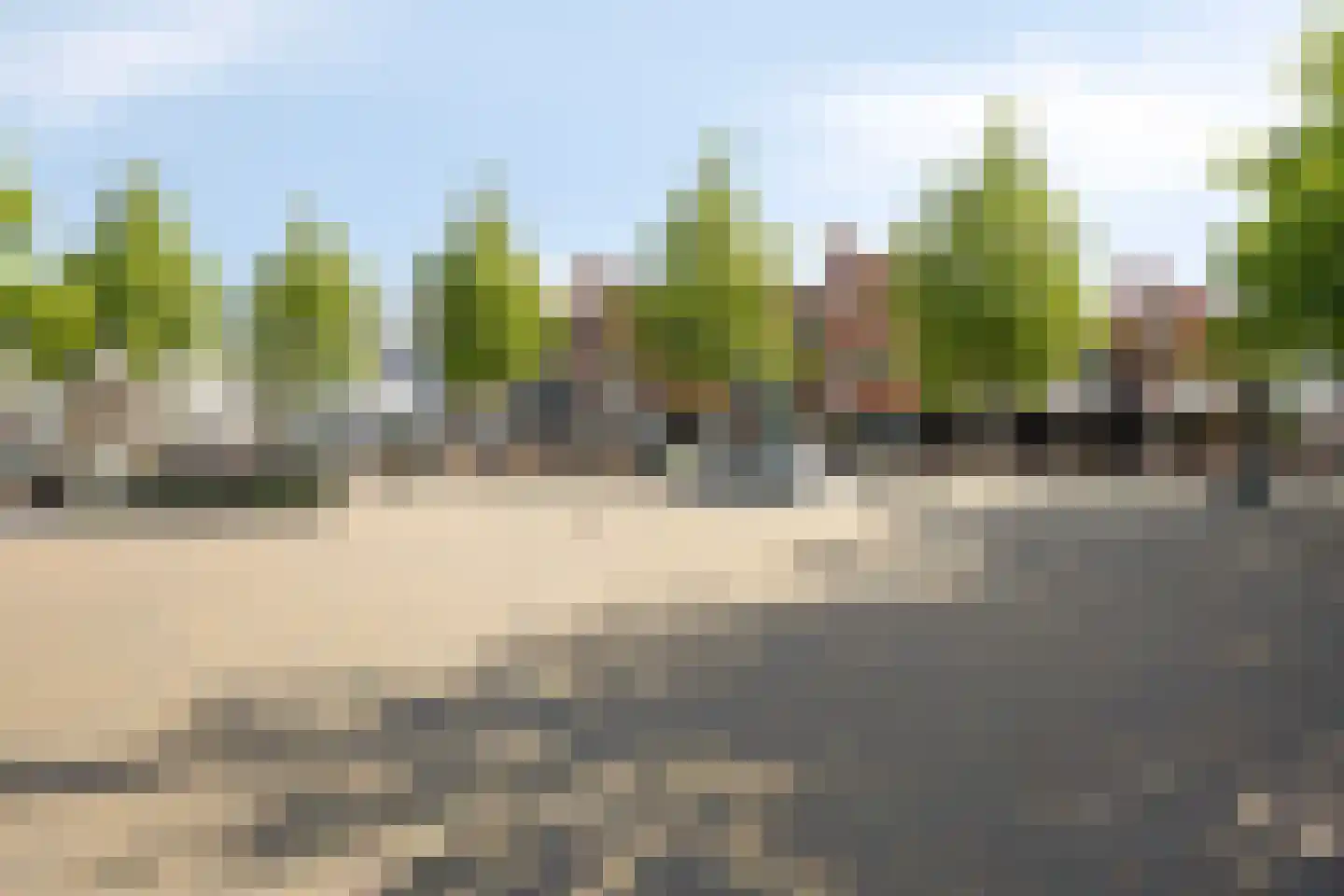 Dennenpad 62 's-Gravenzande thumbnail 24