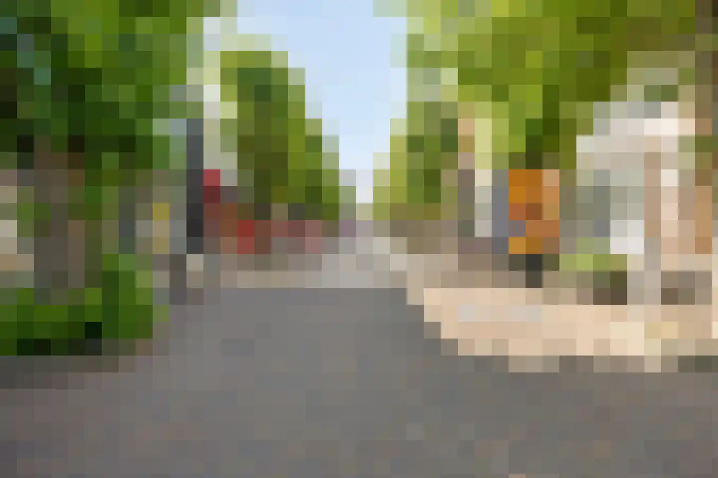 Dennenpad 62 's-Gravenzande thumbnail 25