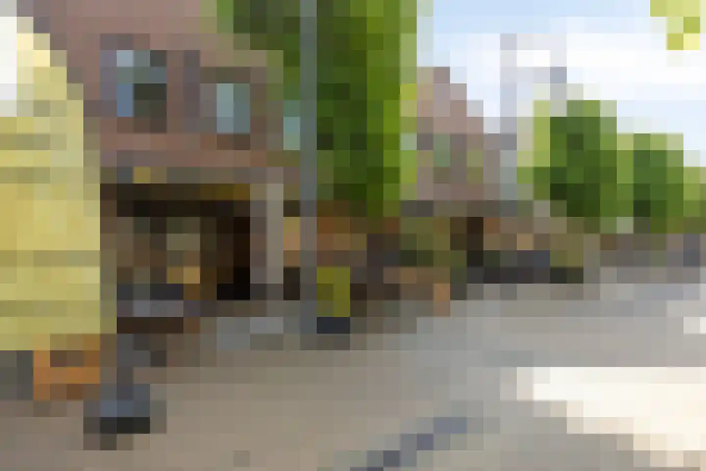 Dennenpad 62 's-Gravenzande thumbnail 26