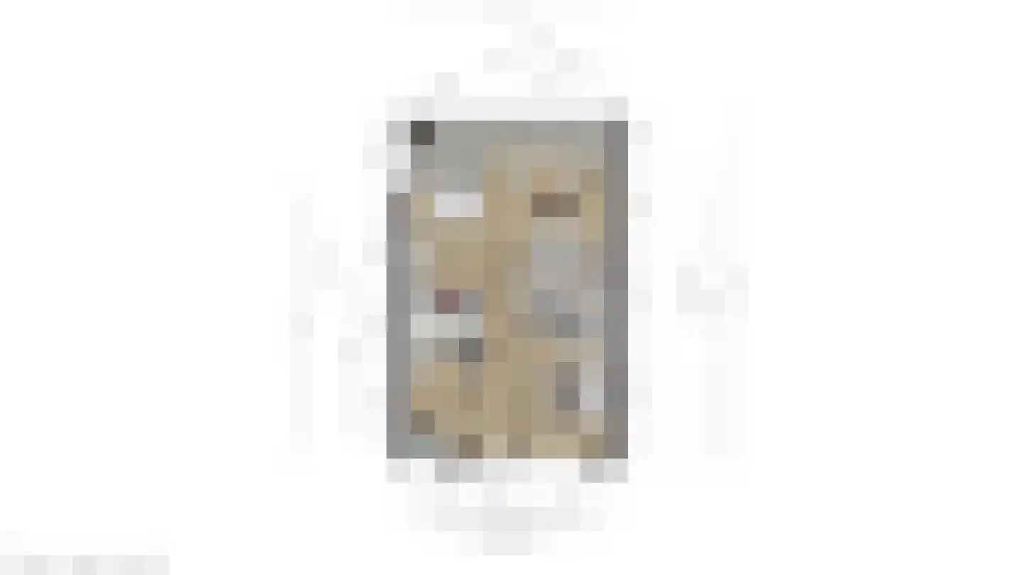 Dennenpad 62 's-Gravenzande thumbnail 27