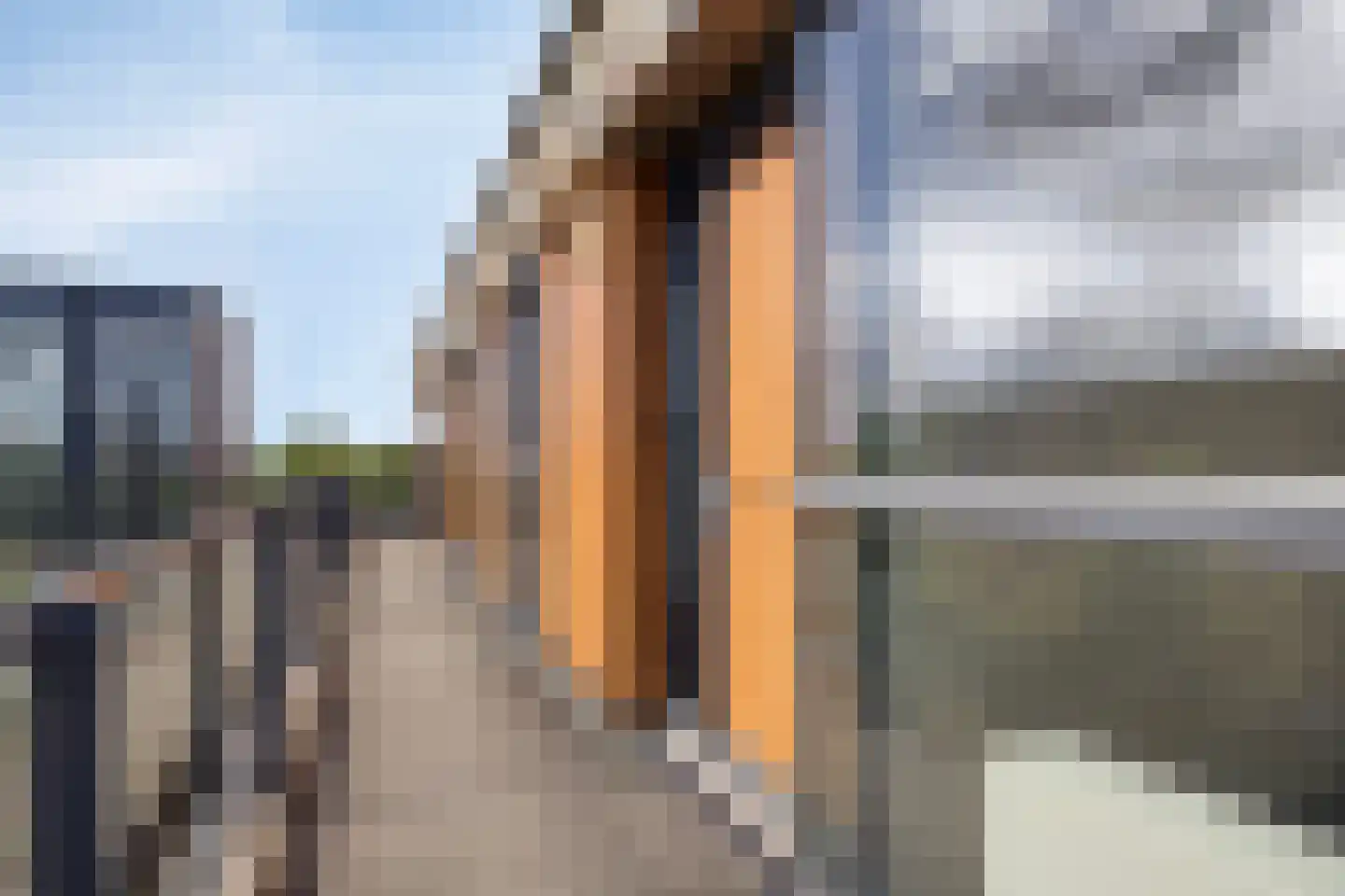 Dennenpad 62 's-Gravenzande thumbnail 5