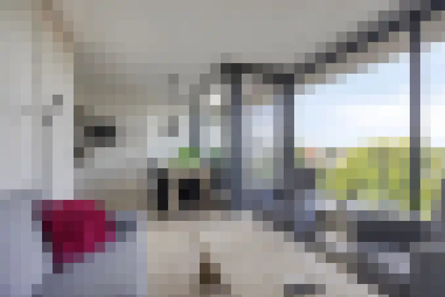 Dennenpad 62 's-Gravenzande thumbnail 8