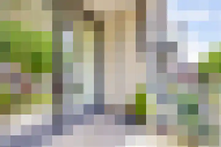 Dennenpad 8 's-Gravenzande thumbnail 13