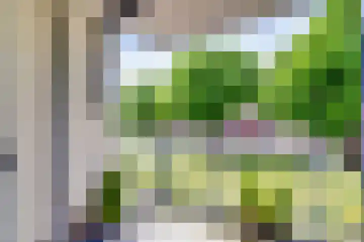 Dennenpad 8 's-Gravenzande thumbnail 14