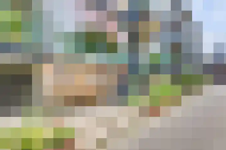 Dennenpad 8 's-Gravenzande thumbnail 15