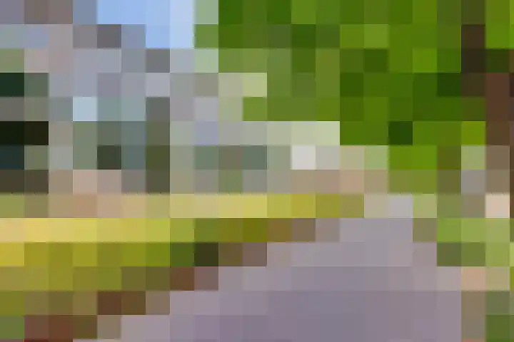 Dennenpad 8 's-Gravenzande thumbnail 23