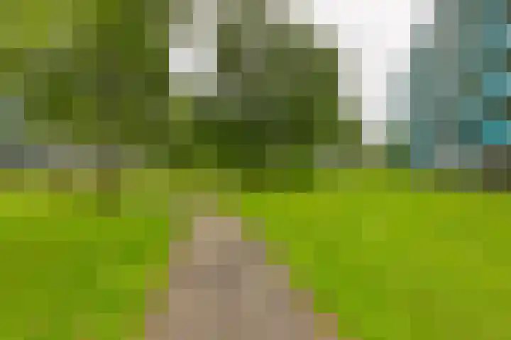 Dennenschans 27 Leiderdorp thumbnail 37