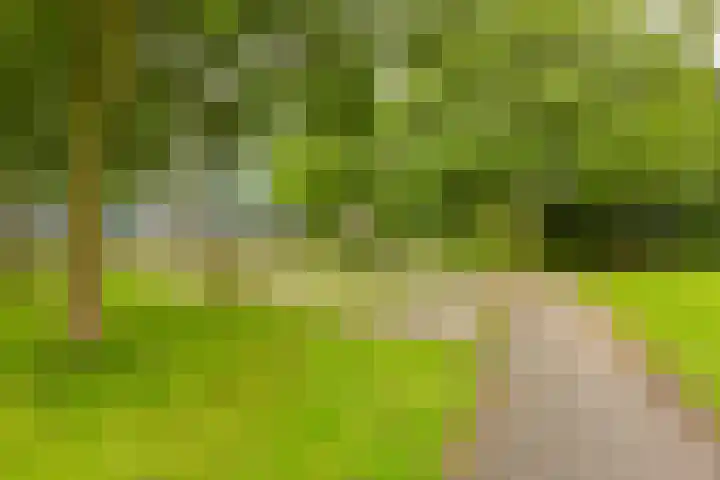 Dennenschans 27 Leiderdorp thumbnail 5