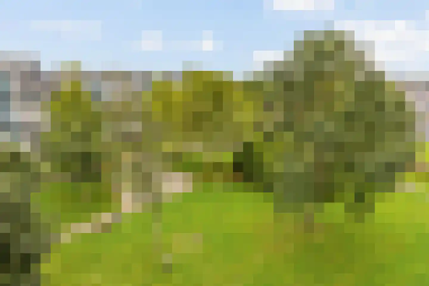 Dennenschans 43 Leiderdorp thumbnail 6