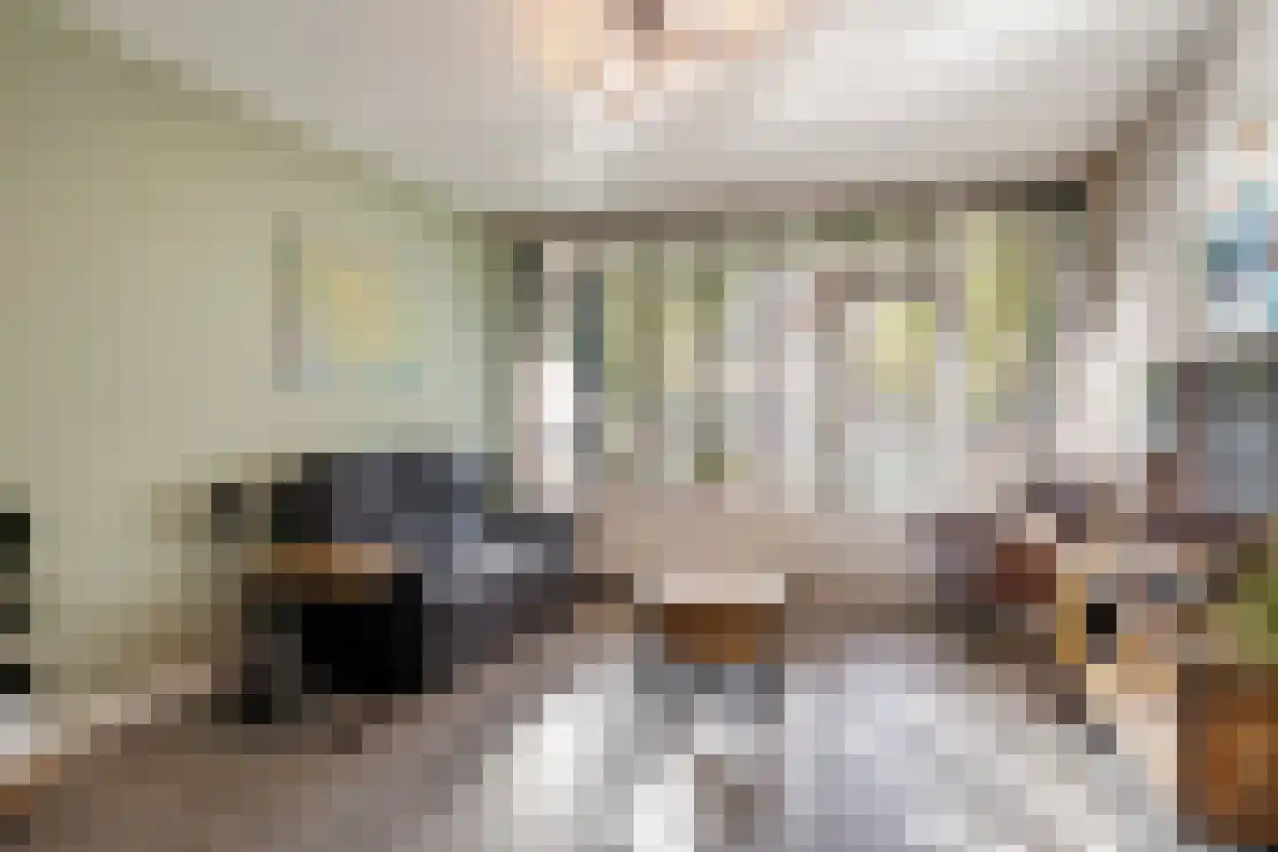 Dennenschans 5 Leiderdorp thumbnail 11