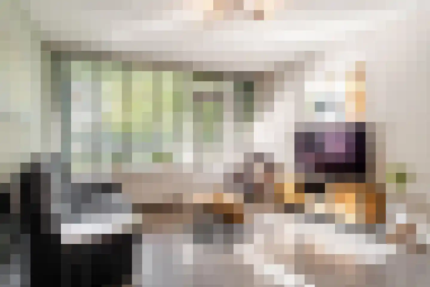 Dennenschans 5 Leiderdorp thumbnail 12