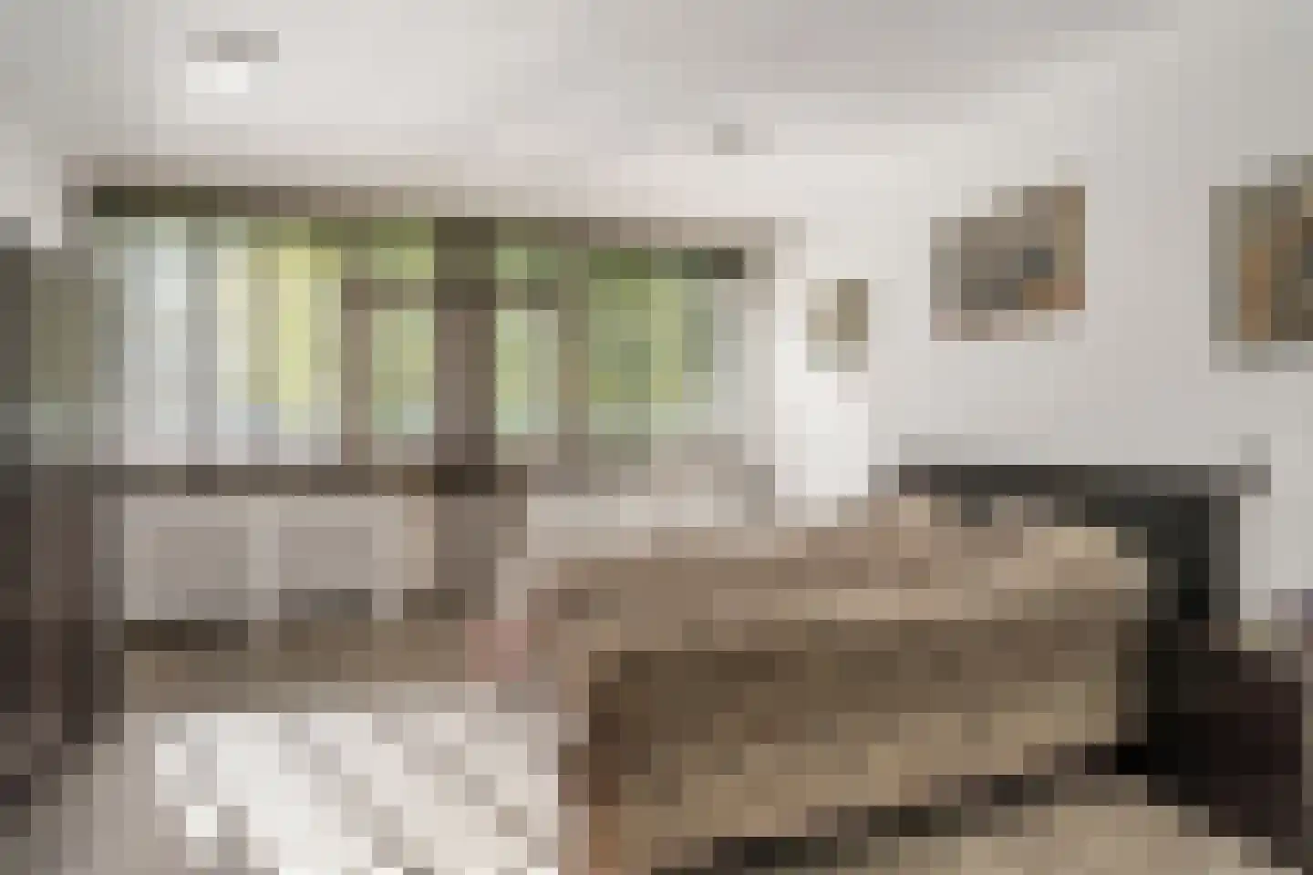 Dennenschans 5 Leiderdorp thumbnail 18