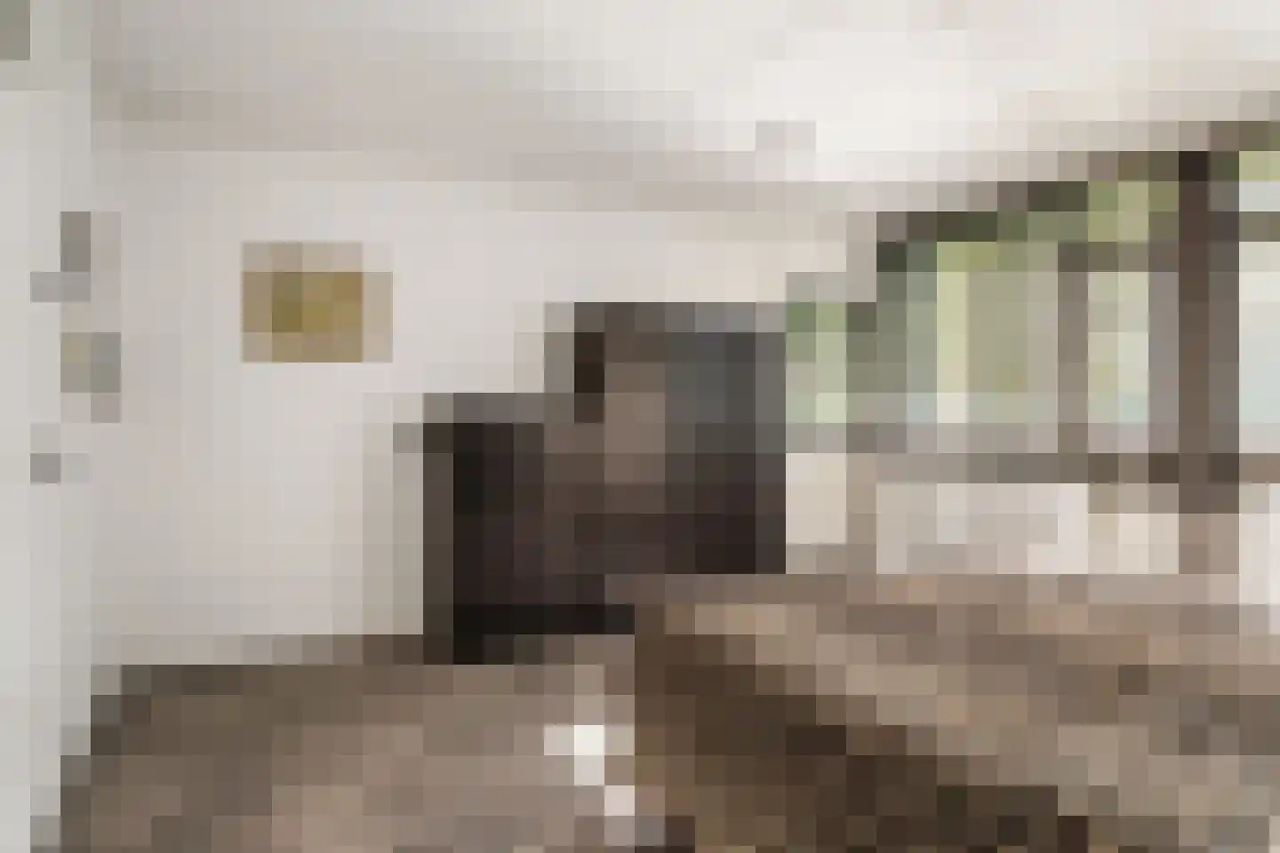 Dennenschans 5 Leiderdorp thumbnail 19