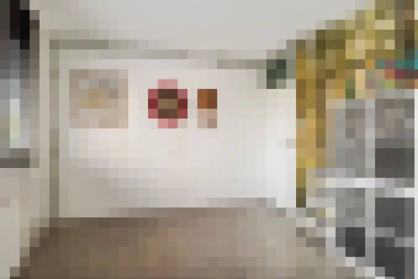 Dennenschans 5 Leiderdorp thumbnail 22