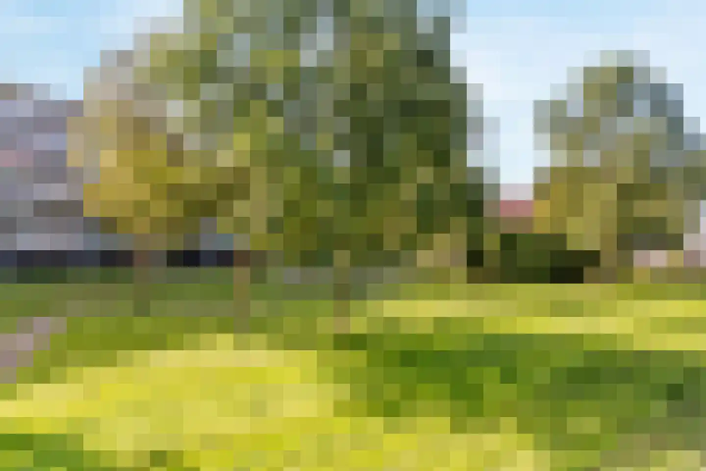 Dennenschans 5 Leiderdorp thumbnail 26