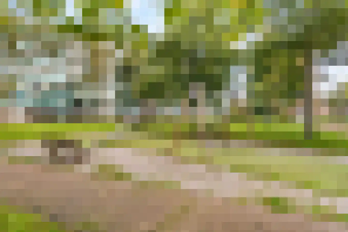 Dennenschans 5 Leiderdorp thumbnail 27