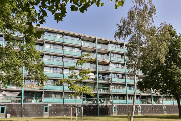 Dennenschans 54 in Leiderdorp foto