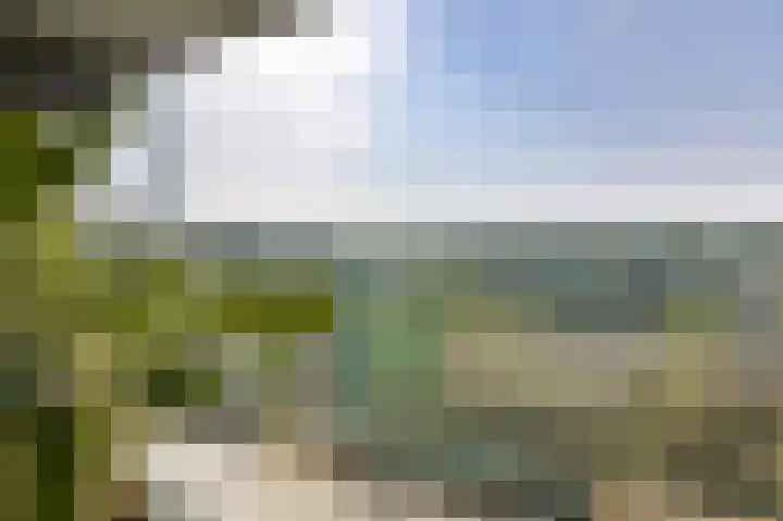 Dennenschans 54 Leiderdorp thumbnail 4