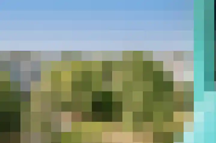 Dennenschans 54 Leiderdorp thumbnail 5