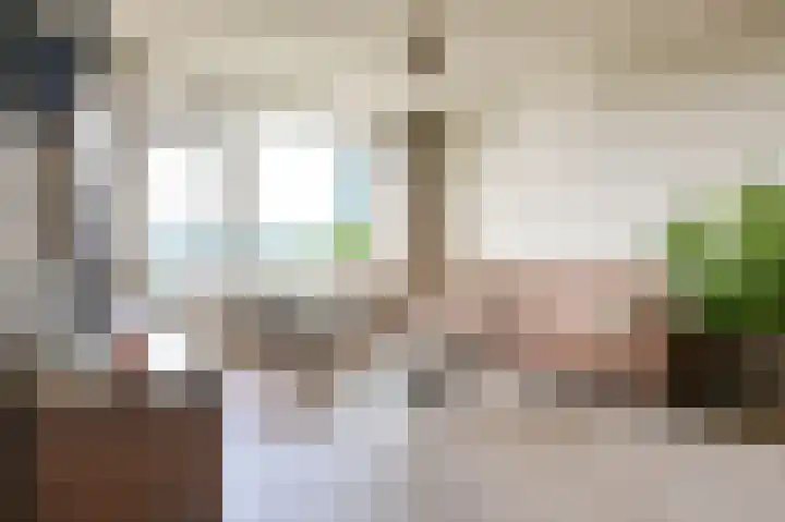 Dennenschans 54 Leiderdorp thumbnail 7