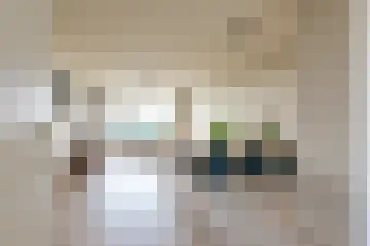 Dennenschans 54 Leiderdorp thumbnail 8