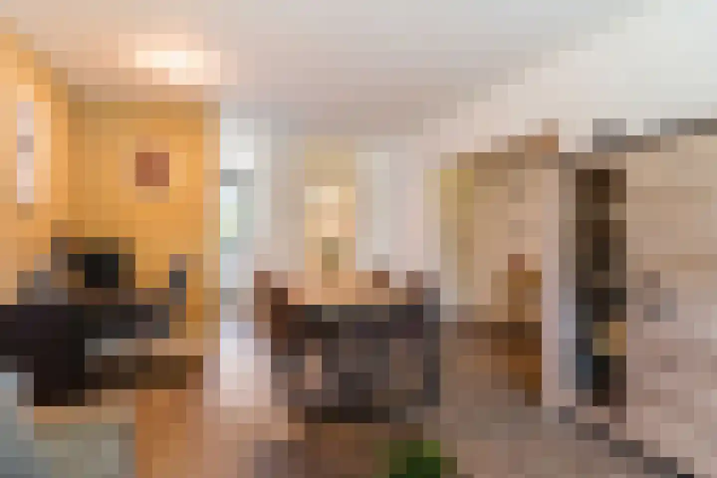 Dennenschans 8 Leiderdorp thumbnail 10