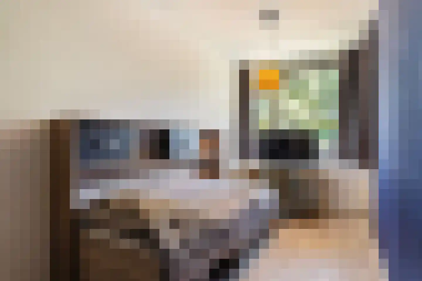 Dennenschans 8 Leiderdorp thumbnail 20